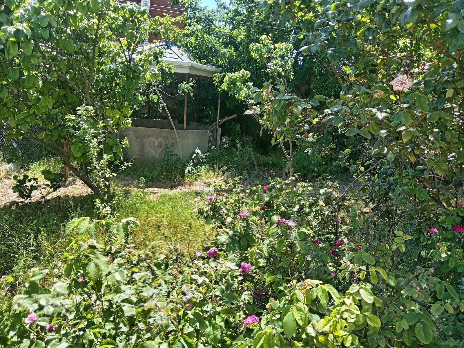 6 otaqlı Həyət evi/Bağ evi, Badamdar q., Bakı