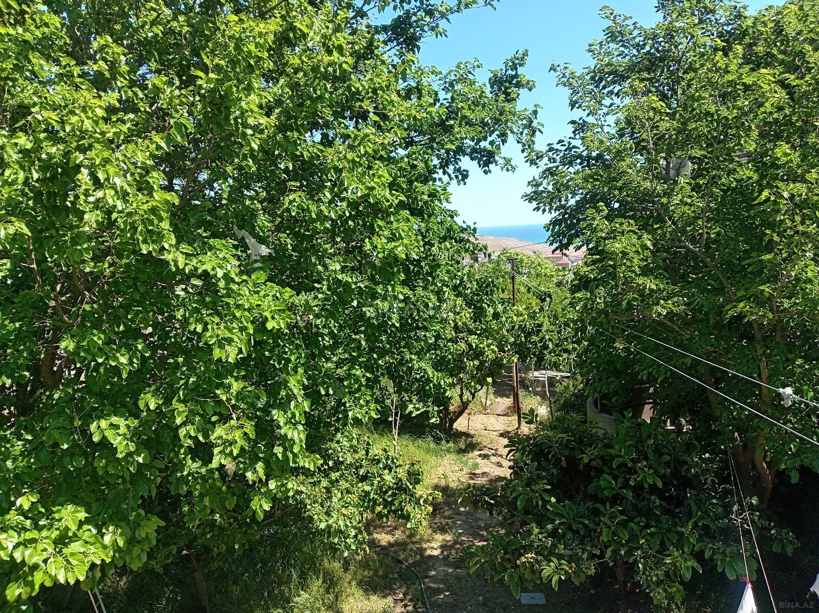 6 otaqlı Həyət evi/Bağ evi, Badamdar q., Bakı