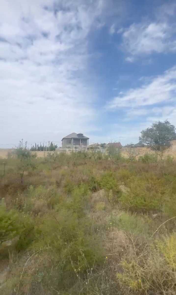 Torpaq Saray q., Bakı
