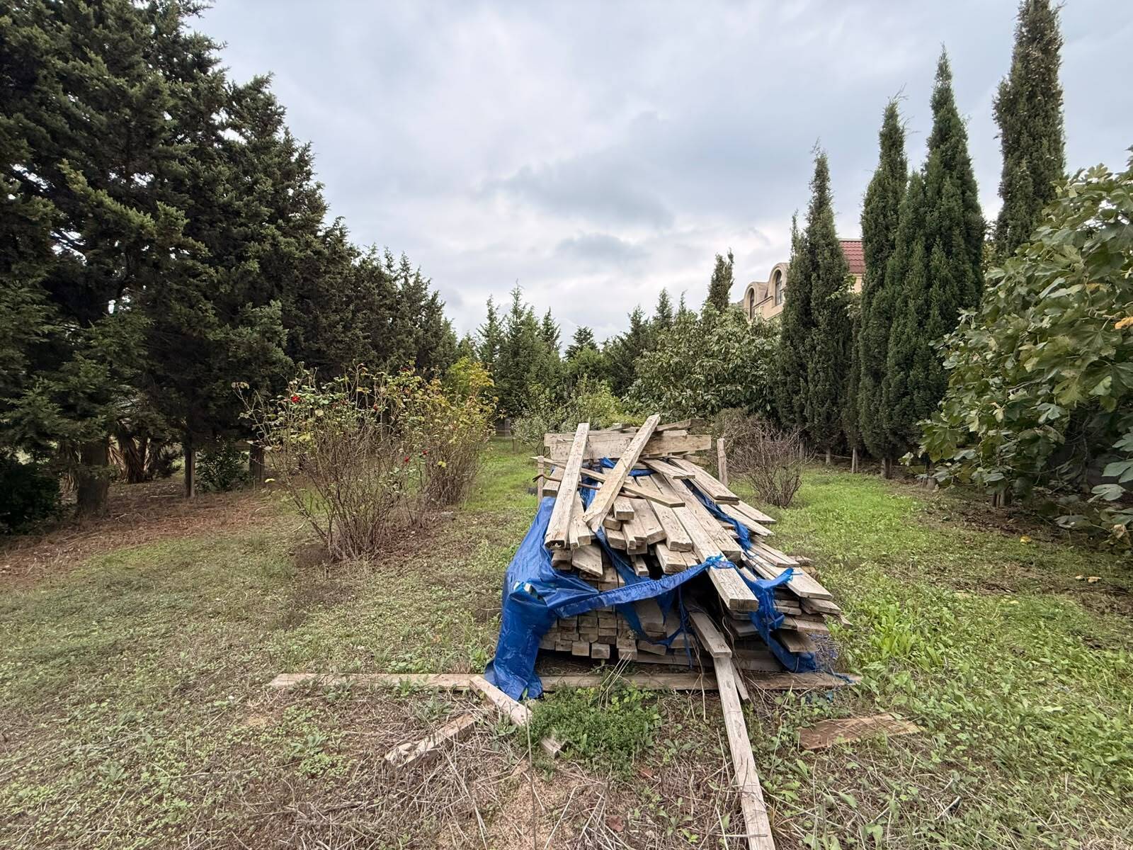 Torpaq Mərdəkan q., Bakı