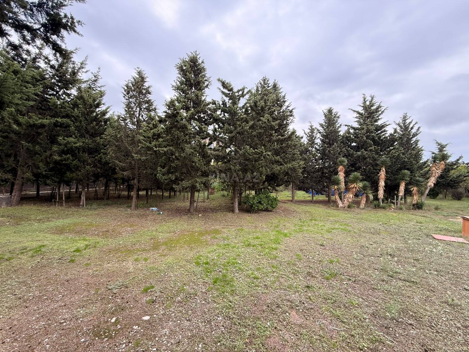 Torpaq Mərdəkan q., Bakı