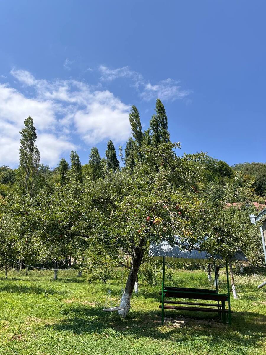 3 otaqlı Həyət evi/Bağ evi, Qusar