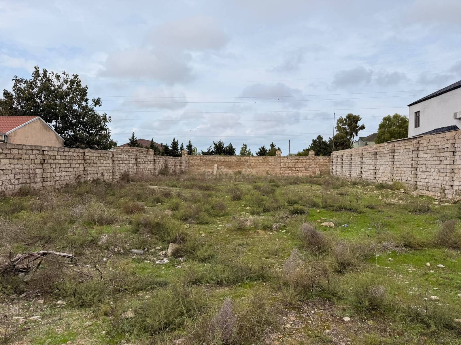 Torpaq Şüvəlan q., Bakı