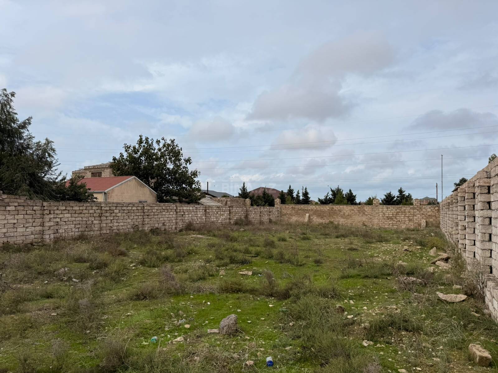 Torpaq Şüvəlan q., Bakı