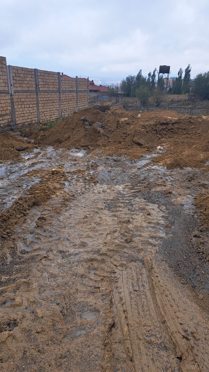 Torpaq Badamdar q., Bakı