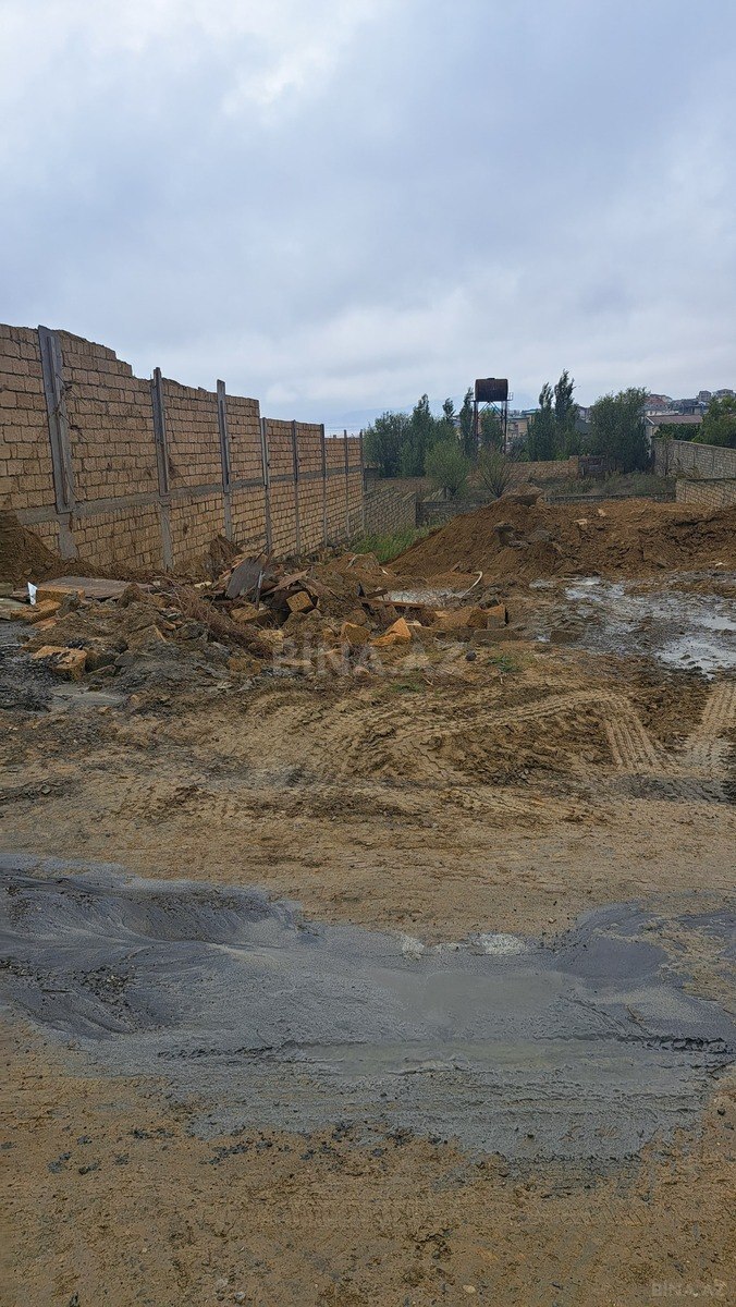 Torpaq Badamdar q., Bakı
