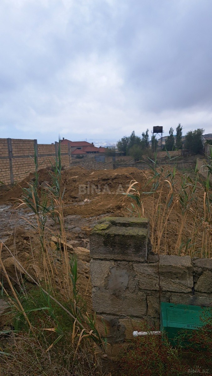 Torpaq Badamdar q., Bakı
