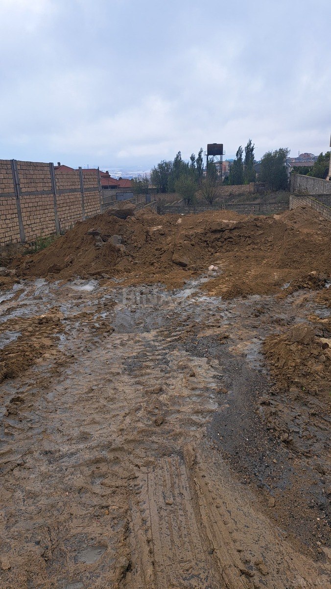 Torpaq Badamdar q., Bakı