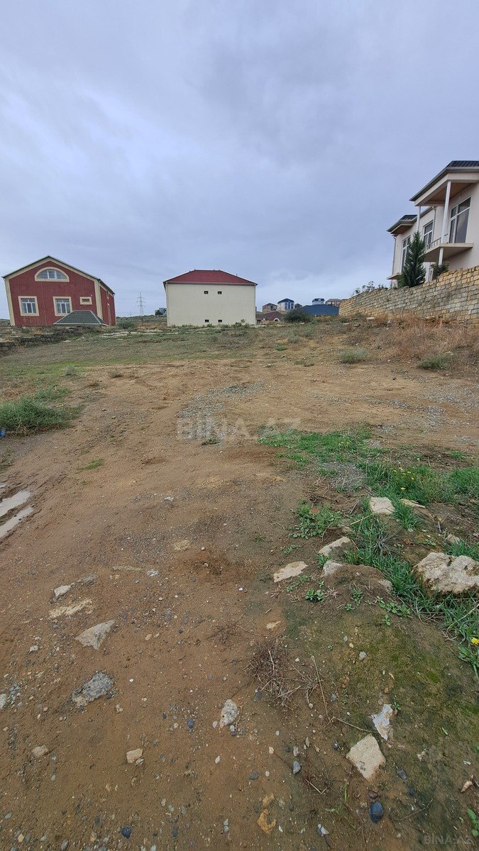 Torpaq Badamdar q., Bakı