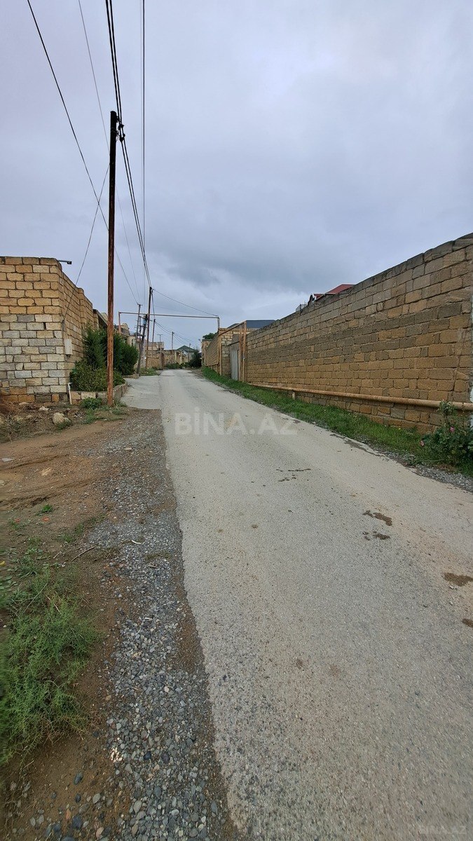 Torpaq Badamdar q., Bakı