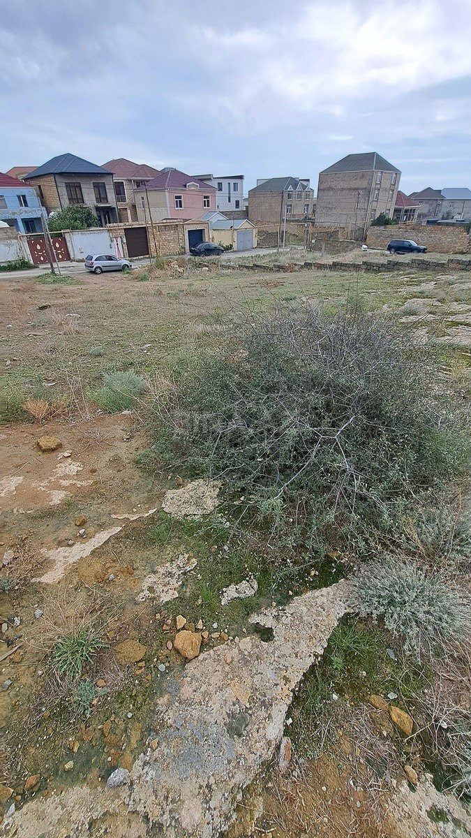 Torpaq Badamdar q., Bakı