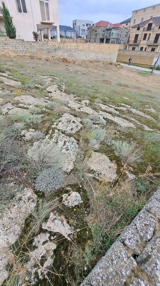 Torpaq Badamdar q., Bakı