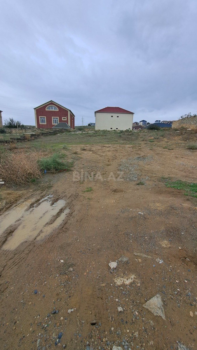 Torpaq Badamdar q., Bakı