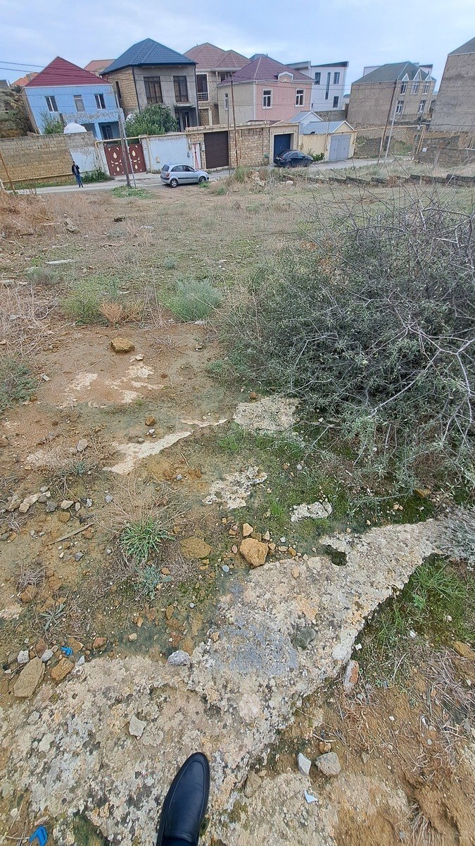 Torpaq Badamdar q., Bakı
