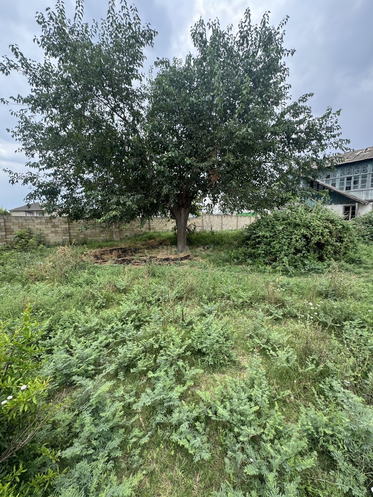 5 otaqlı Həyət evi/Bağ evi, Ağcabədi