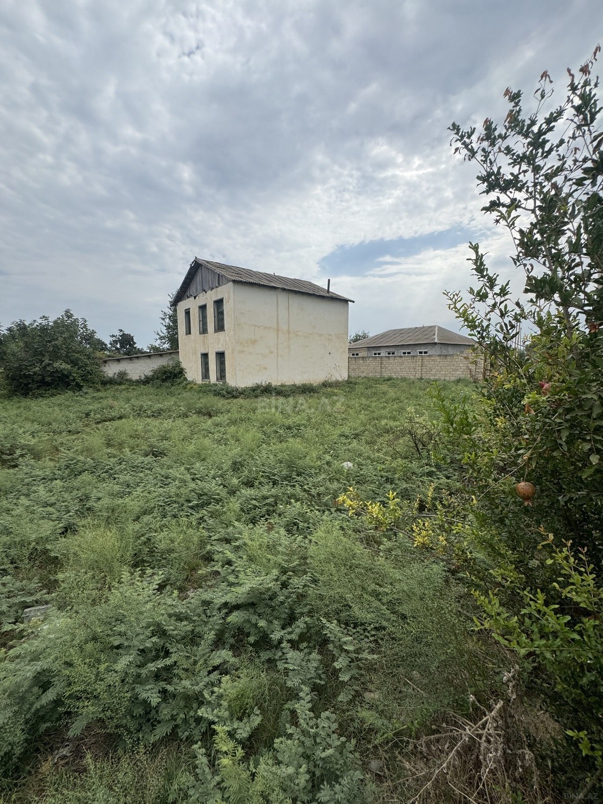 5 otaqlı Həyət evi/Bağ evi, Ağcabədi