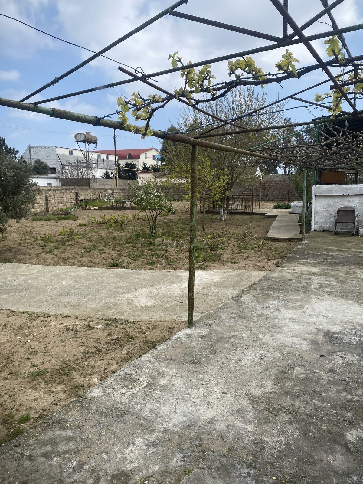 Torpaq Buzovna q., Bakı