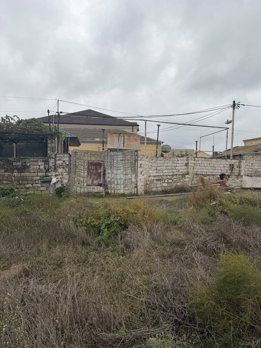 Torpaq Şüvəlan q., Bakı