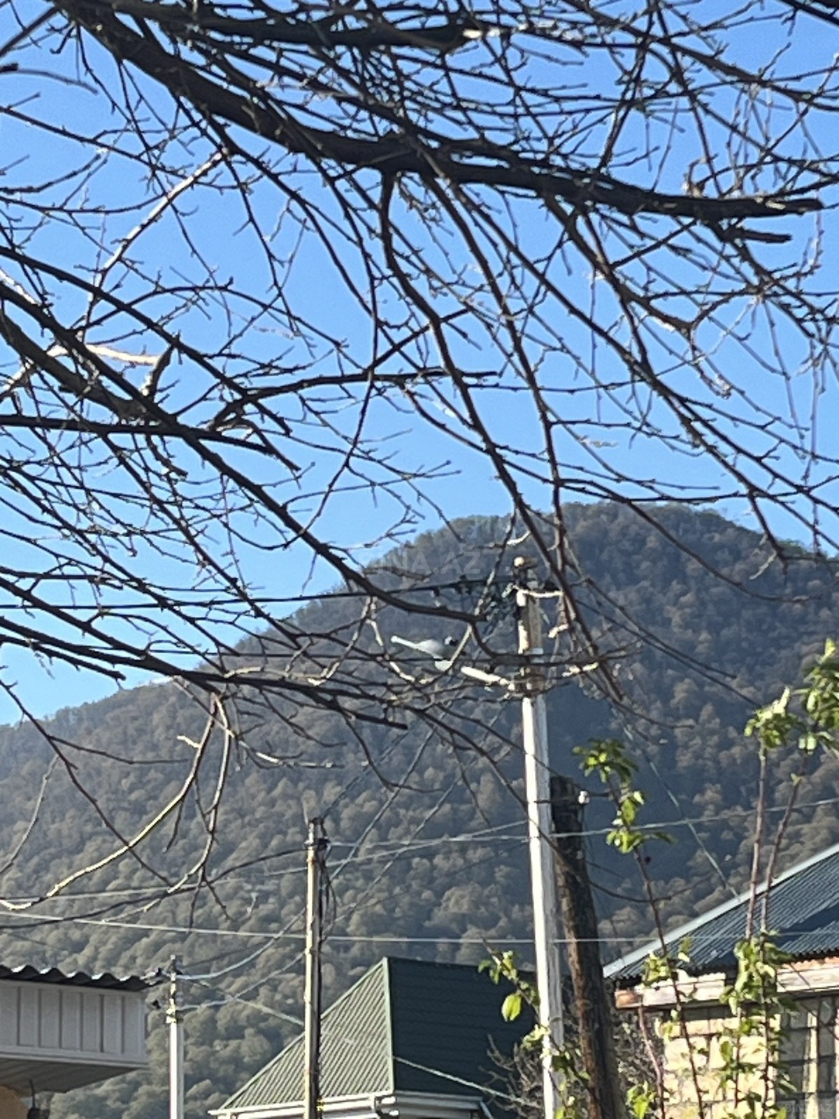 Torpaq Qəbələ