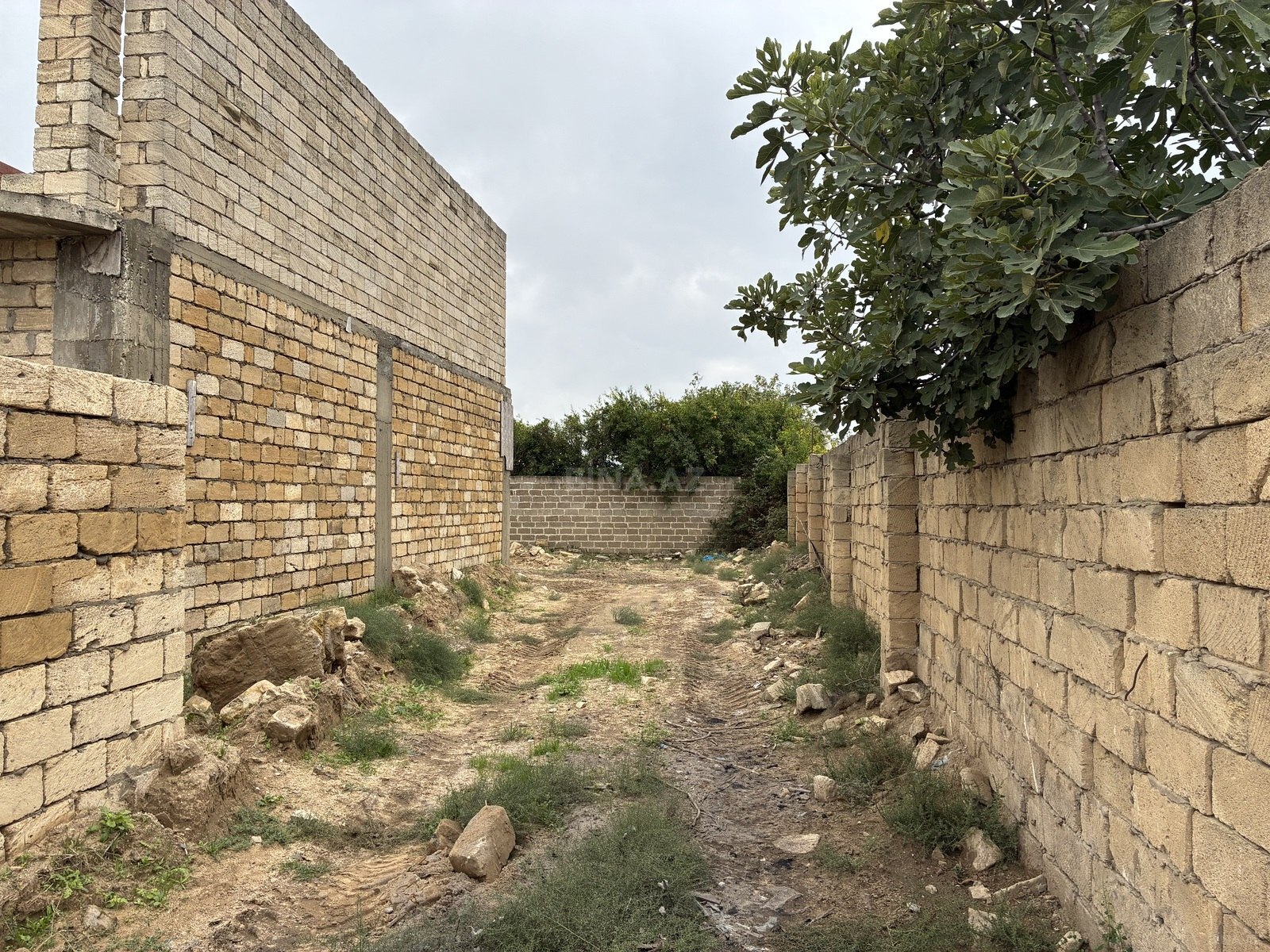 Torpaq Maştağa q., Bakı