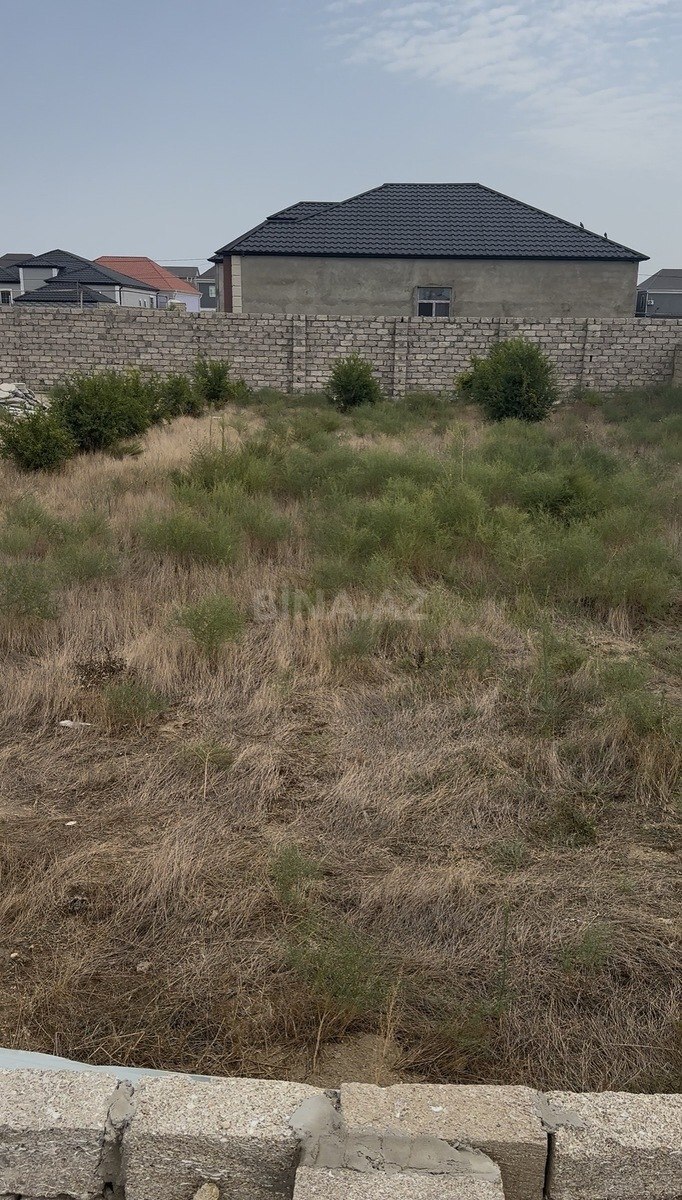 Torpaq Binə q., Bakı
