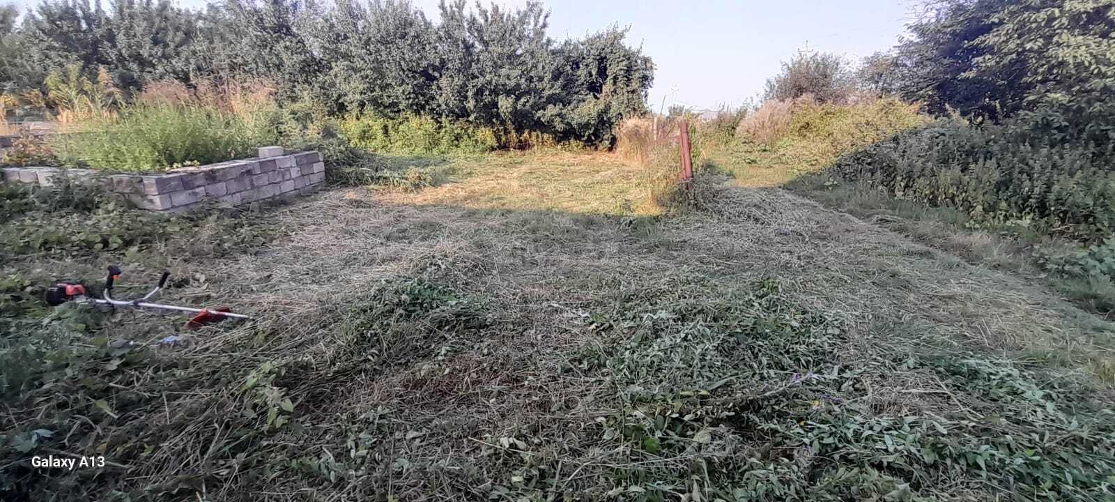 Torpaq Quba