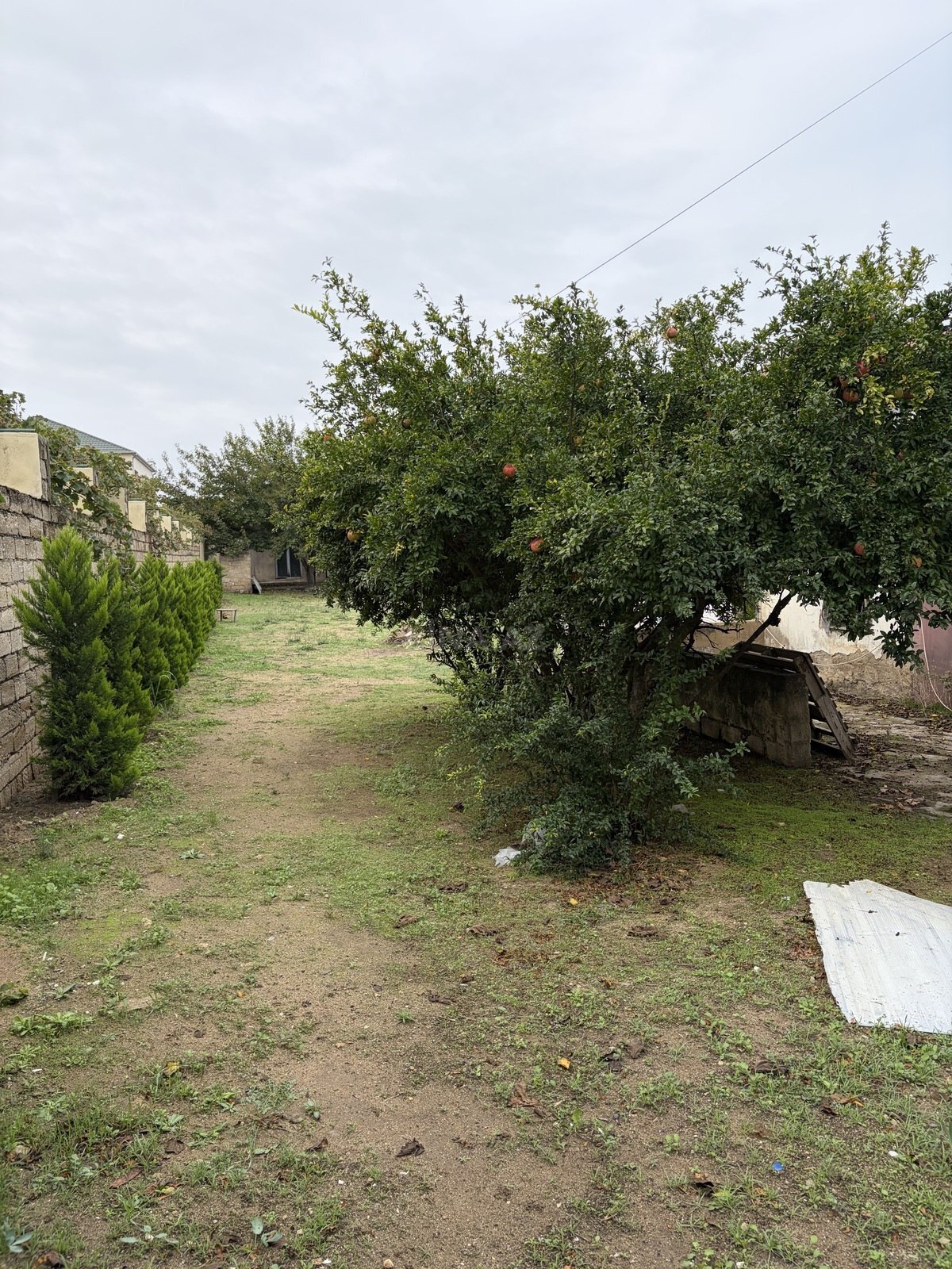 4 otaqlı Həyət evi/Bağ evi, Albalılıq q., Bakı