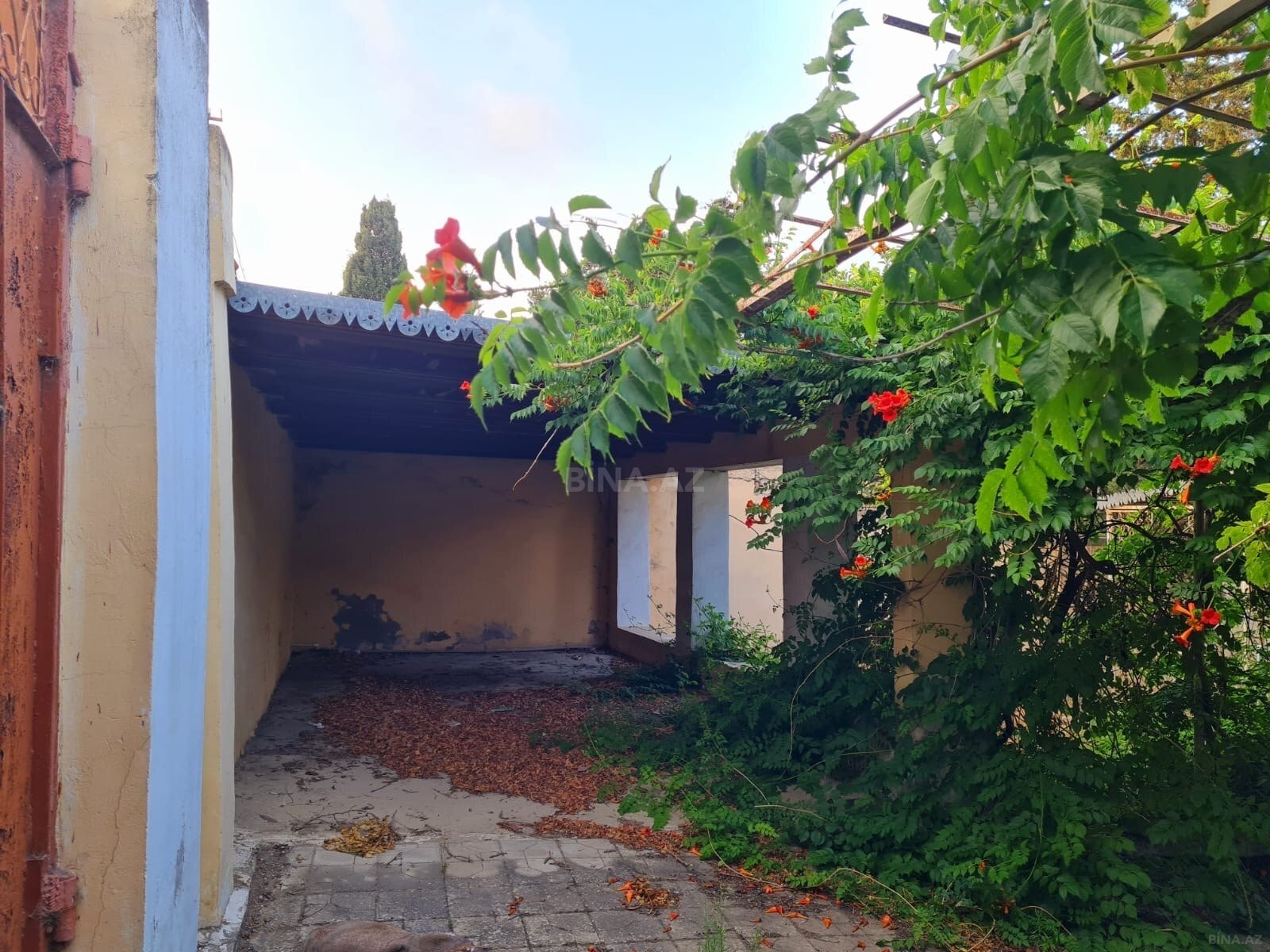 3 otaqlı Həyət evi/Bağ evi, Bilgəh q., Bakı