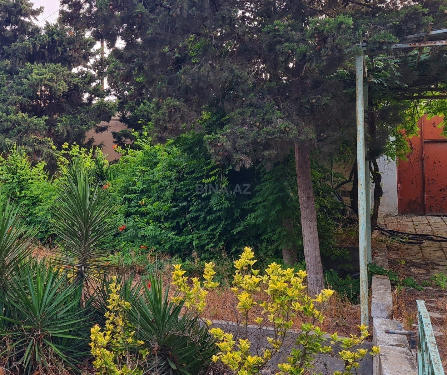 3 otaqlı Həyət evi/Bağ evi, Bilgəh q., Bakı