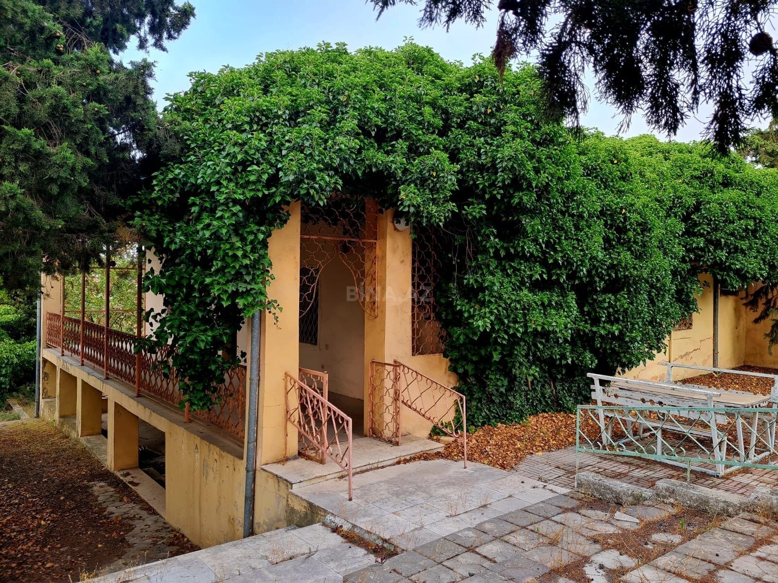 3 otaqlı Həyət evi/Bağ evi, Bilgəh q., Bakı