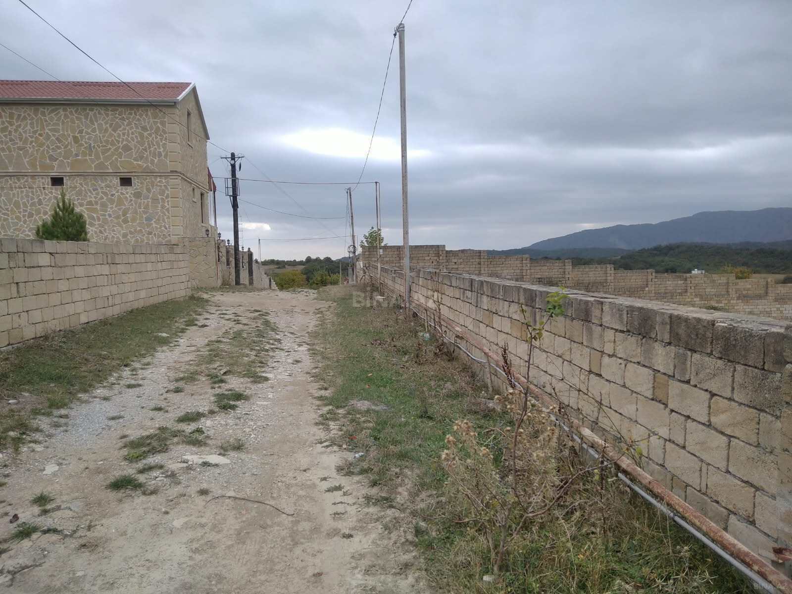 Torpaq Şamaxı