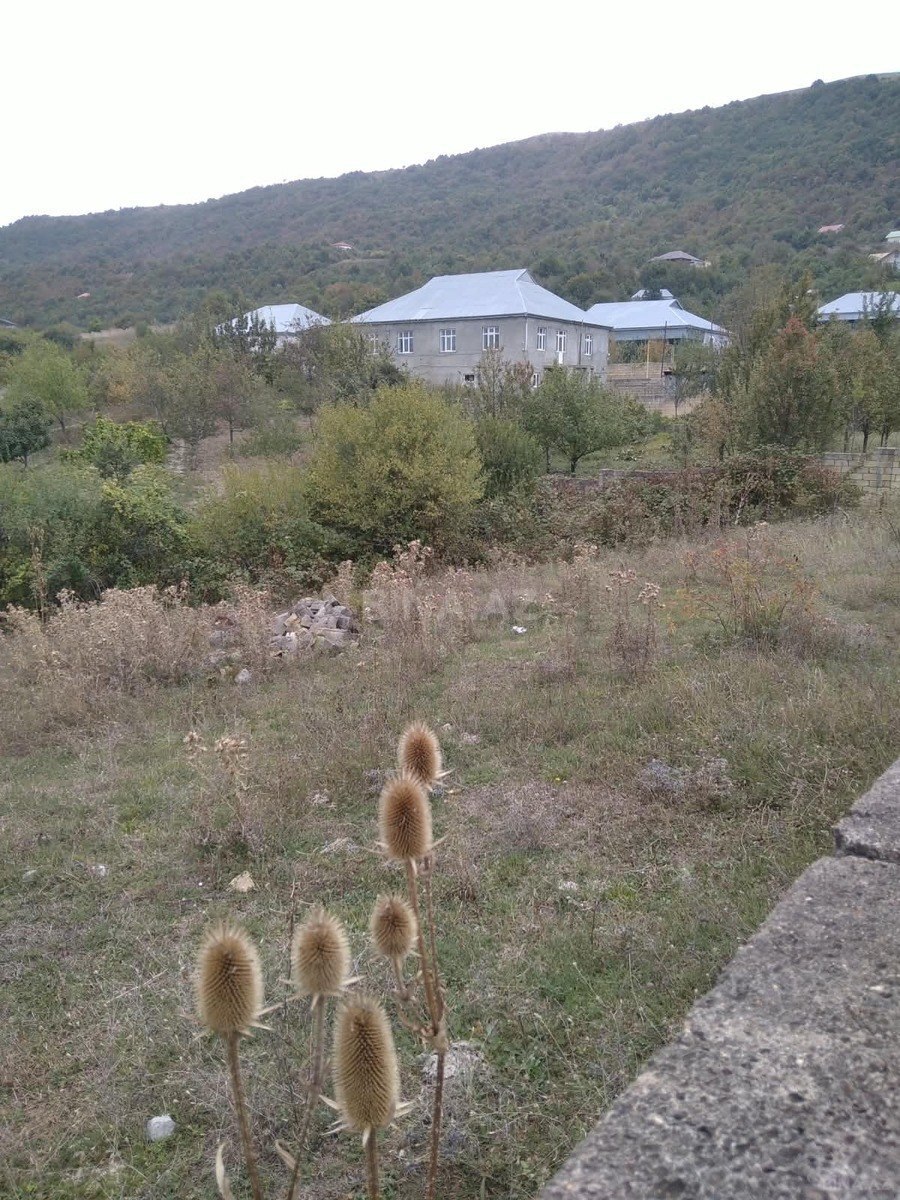 Torpaq Şamaxı