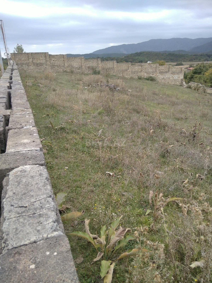 Torpaq Şamaxı