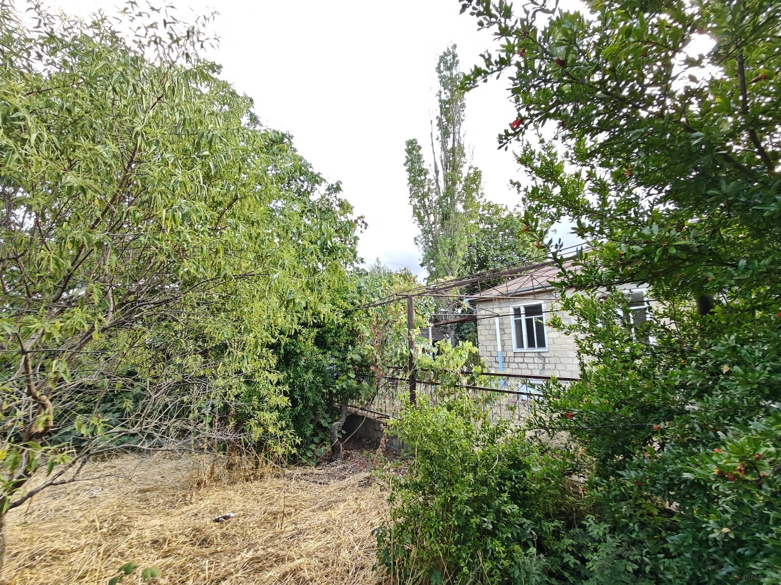 5 otaqlı Həyət evi/Bağ evi, Şamaxı