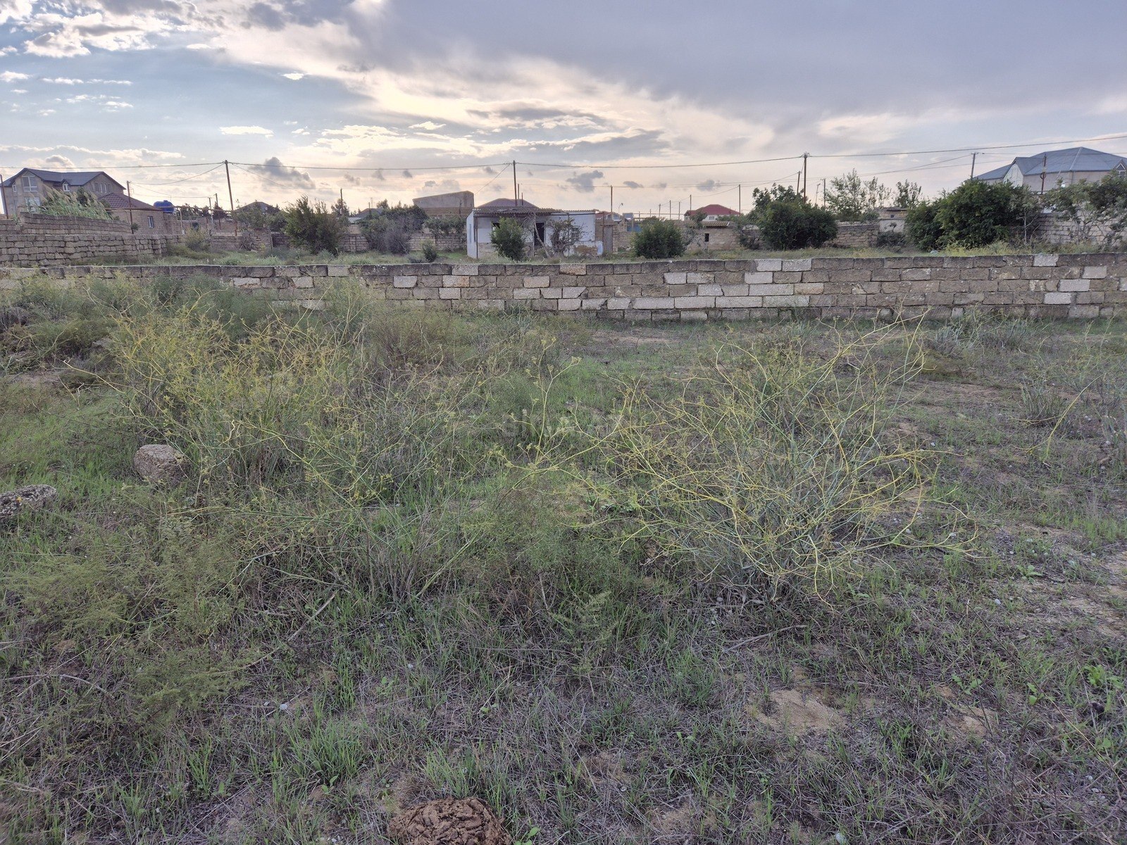 Torpaq satılır, Qala, Bakı