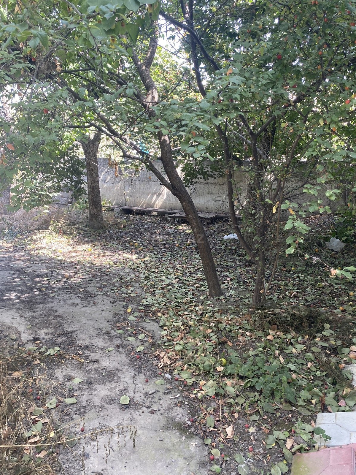 5 otaqlı Həyət evi/Bağ evi, Xaçmaz r., Xaçmaz