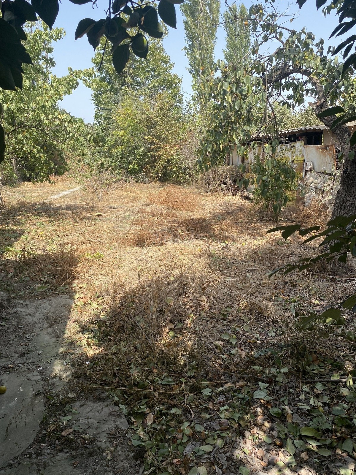 5 otaqlı Həyət evi/Bağ evi, Xaçmaz r., Xaçmaz