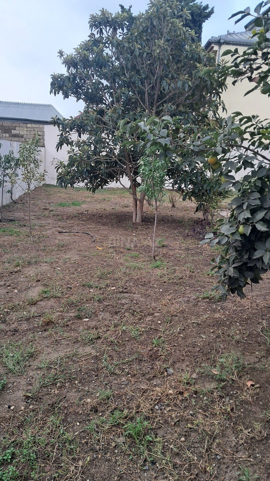 7 otaqlı Həyət evi/Bağ evi, Bakıxanov q., Bakı