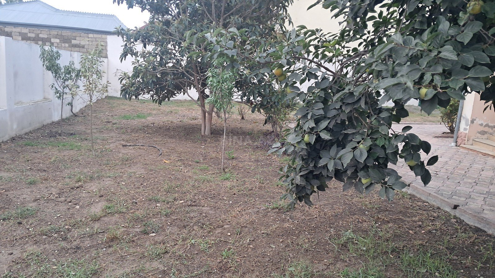 7 otaqlı Həyət evi/Bağ evi, Bakıxanov q., Bakı