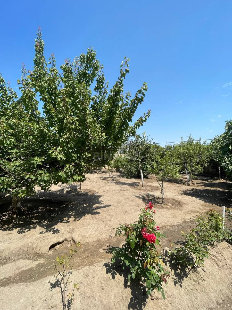 7 otaqlı Həyət evi/Bağ evi, Saray q., Bakı