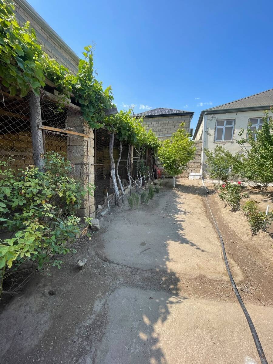 7 otaqlı Həyət evi/Bağ evi, Saray q., Bakı