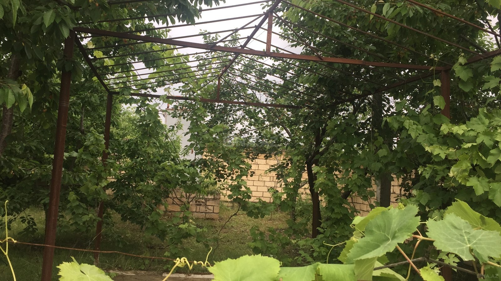 5 otaqlı Həyət evi/Bağ evi, Quba