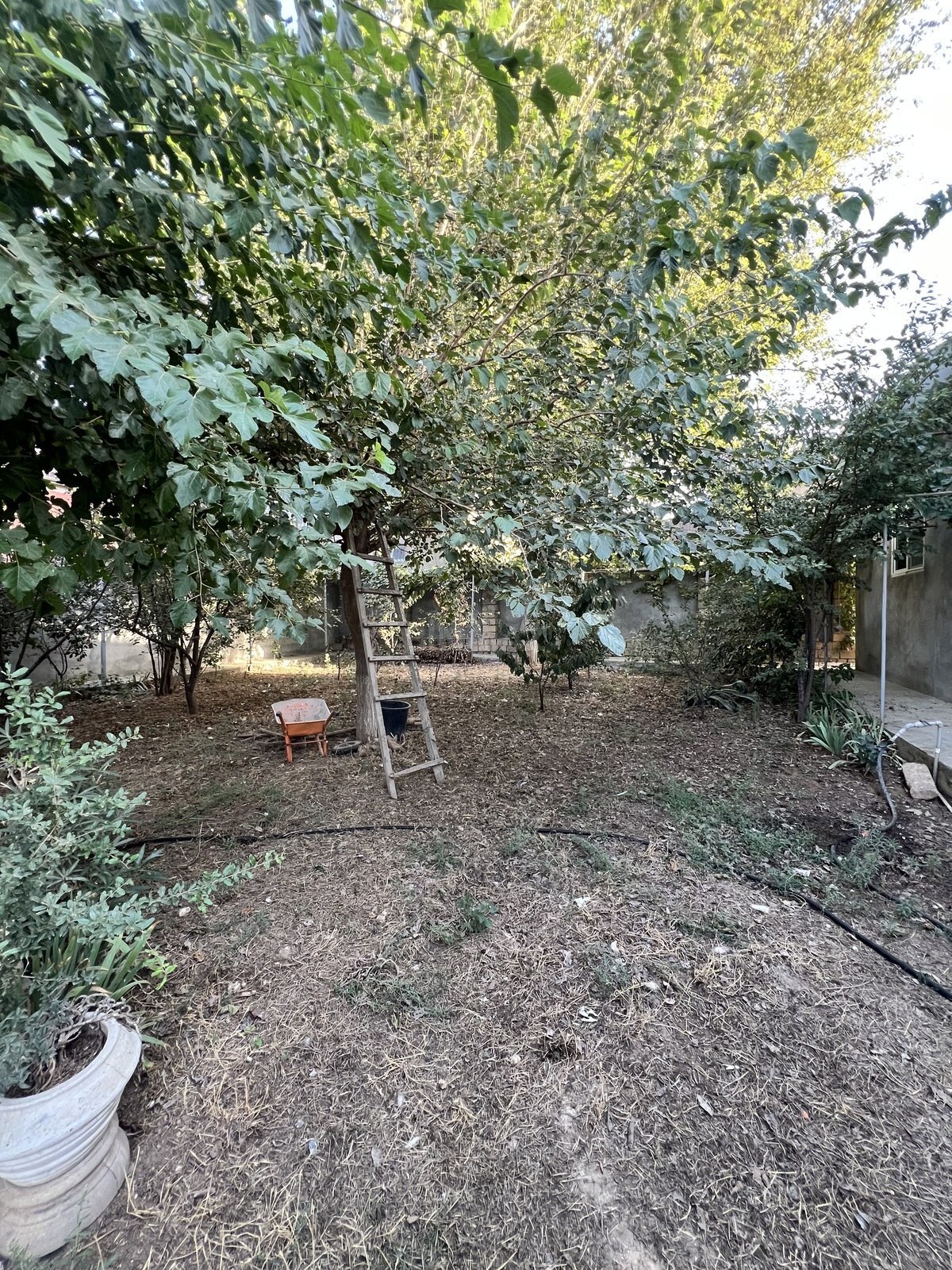 5 otaqlı Həyət evi/Bağ evi, Binəqədi q., Bakı