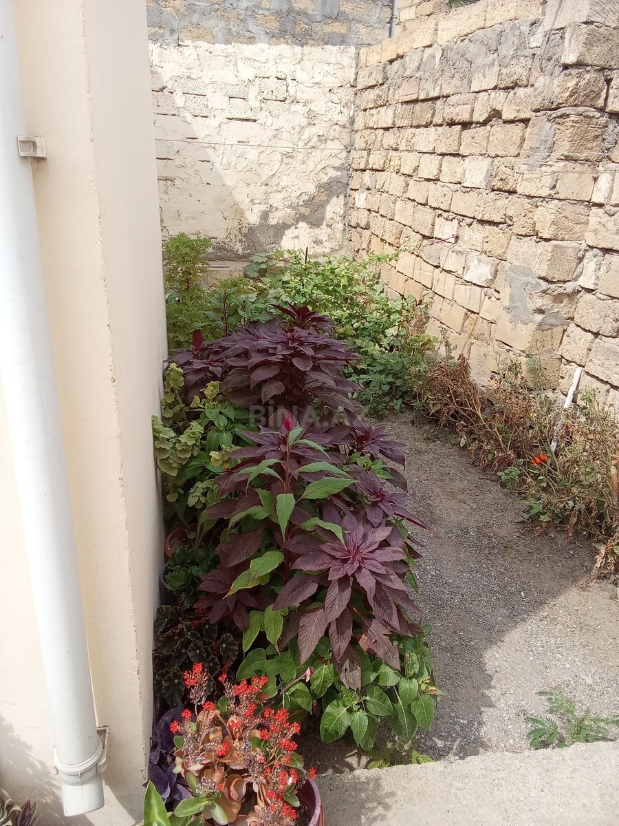 3 otaqlı Həyət evi/Bağ evi, Binəqədi q., Bakı