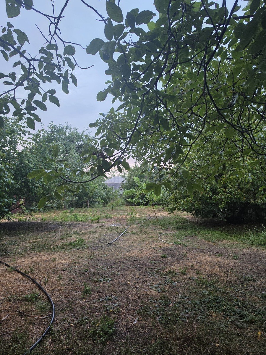 Torpaq Qəbələ