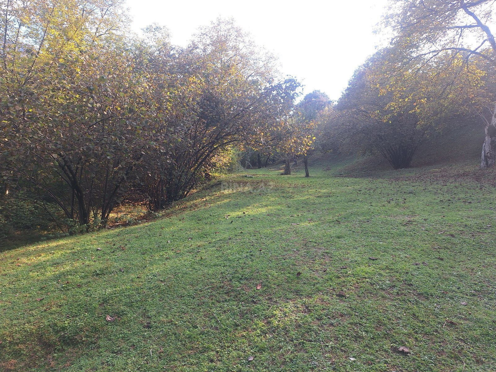 Torpaq İsmayıllı