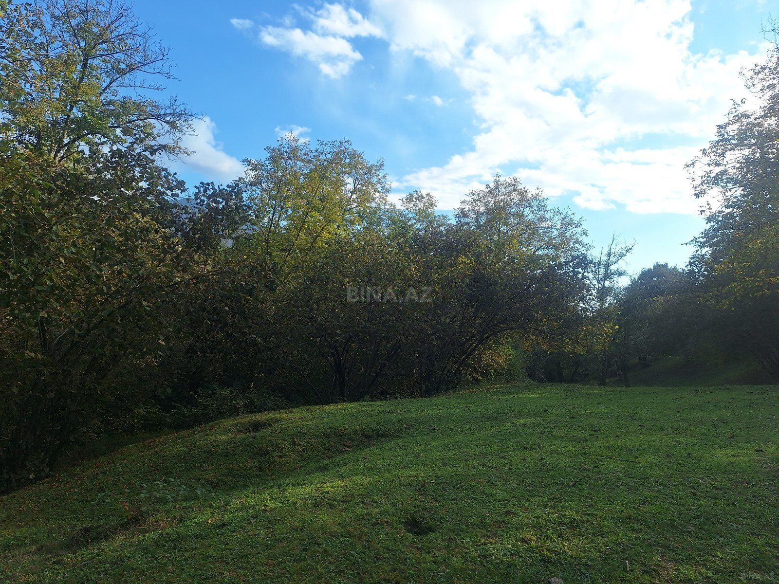 Torpaq İsmayıllı