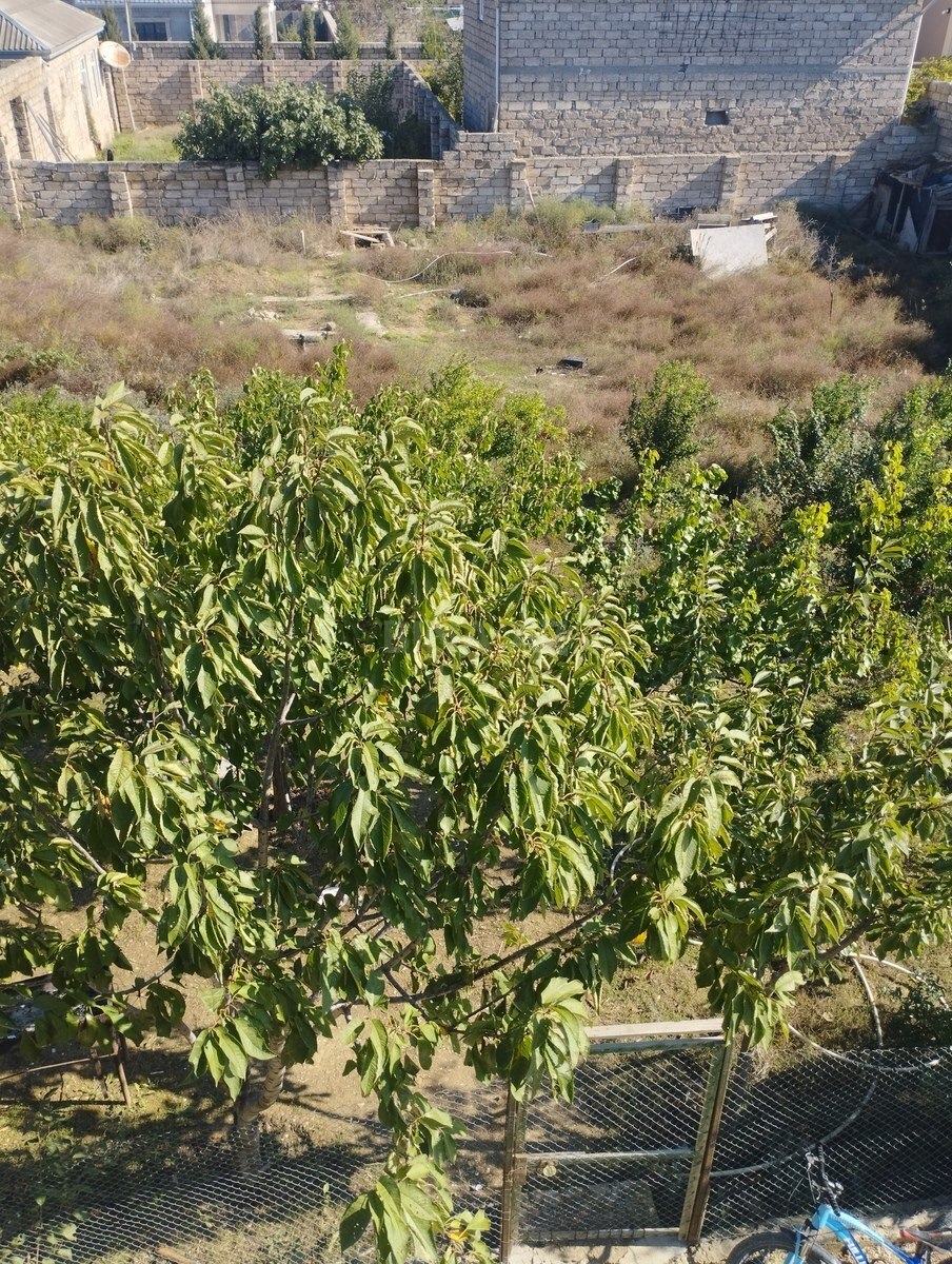 7 otaqlı Həyət evi/Bağ evi, Mərdəkan q., Bakı