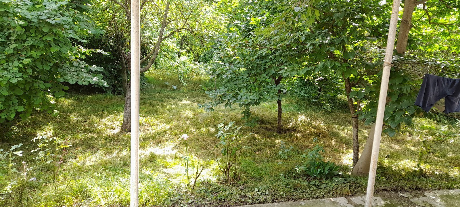 2 otaqlı Həyət evi/Bağ evi, İsmayıllı