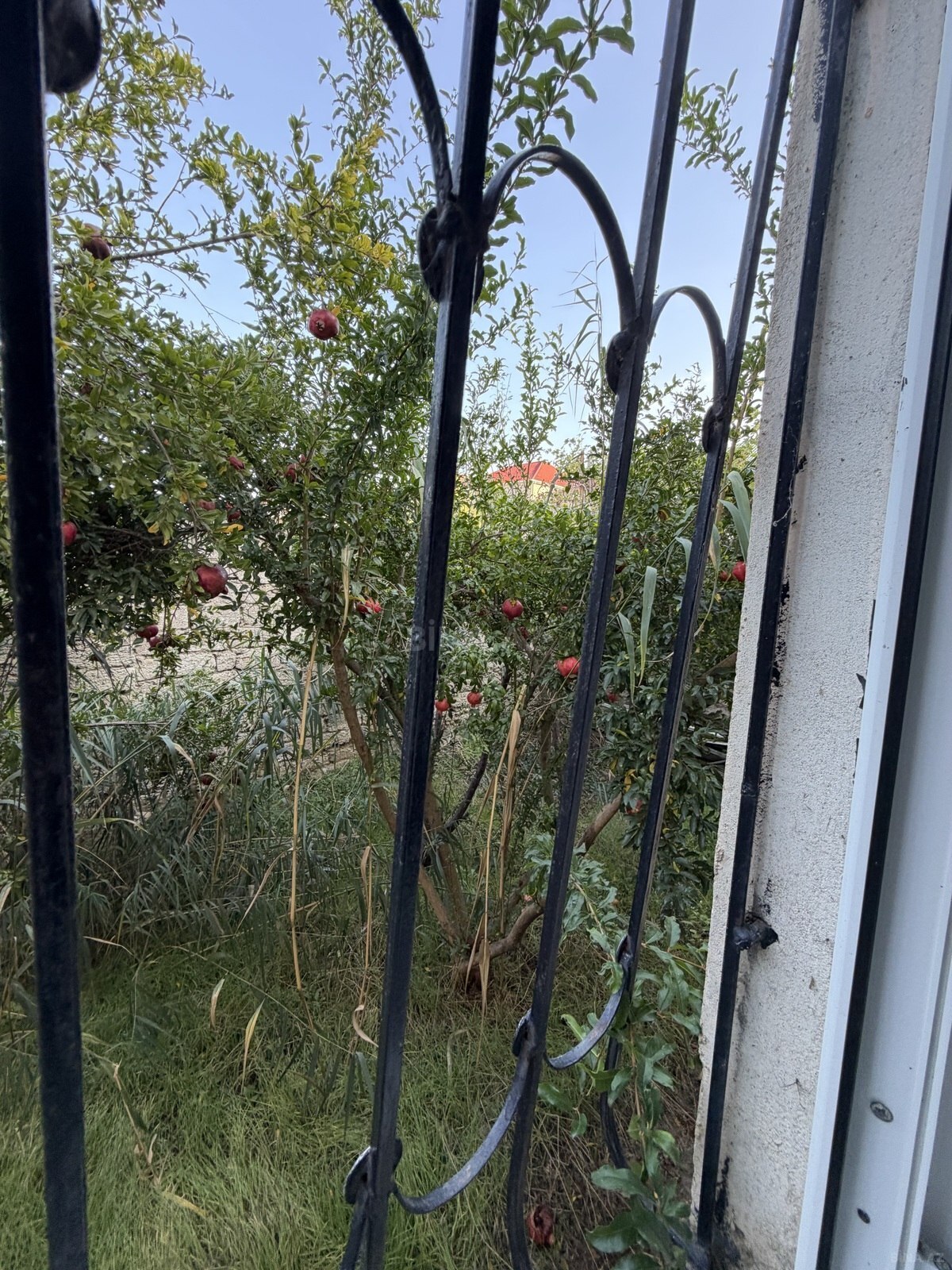 3 otaqlı Həyət evi/Bağ evi, Qaraçuxur q., Bakı